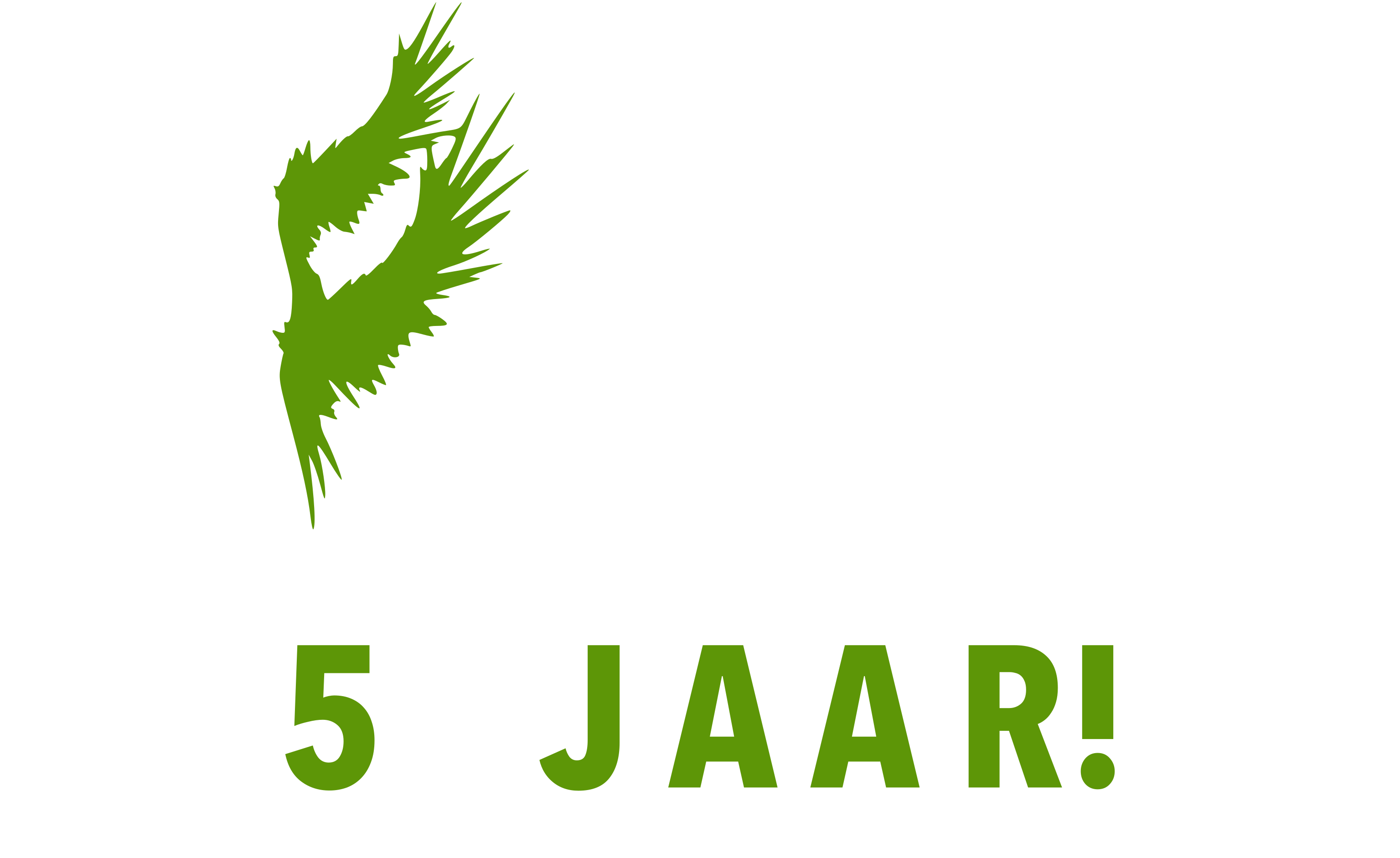 5 jarig jubileum logo van Icarus